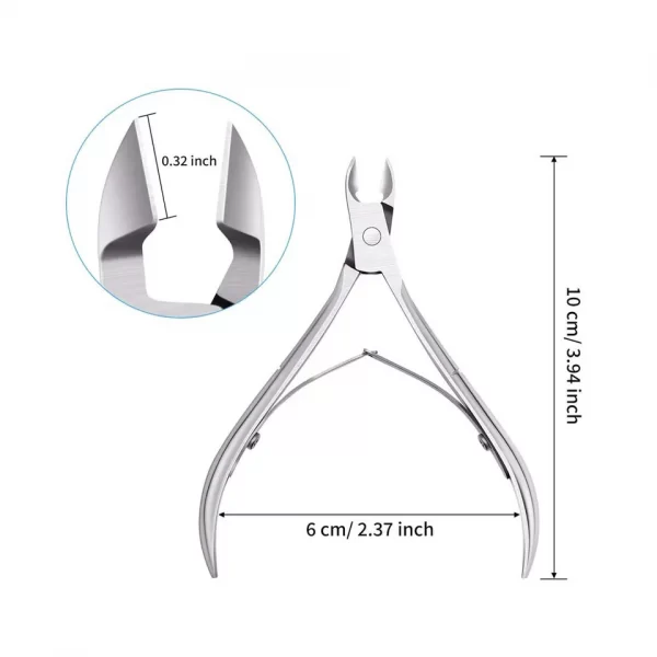 cuticle-large2